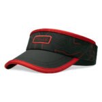 Visors
