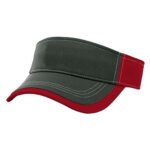 Visors