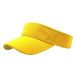 Visors