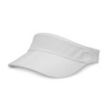Visors